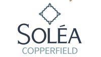 Solea Copperfield presents Donna Scott