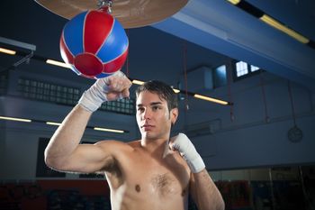 A_BOXER_STOCK_SHOT2
