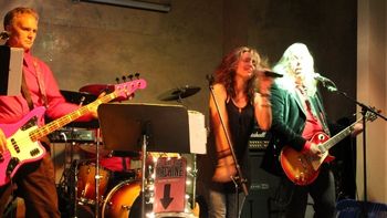 IMG_8169_800x533
