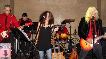 IMG_8065_800x449
