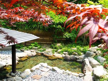 Private Onsen
