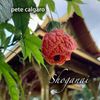 Shoganai - CD