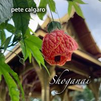 Shoganai by Pete Calgaro