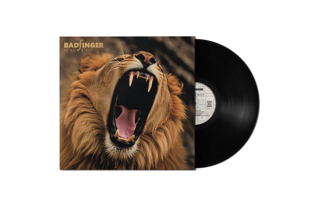 HEAD FIRST - 12" Vinyl