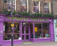 Purple Turtle Ding Dong