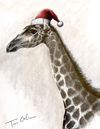 Christmas Giraffe