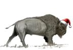 Christmas Buffalo
