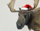 Christmas Moose