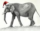 Christmas Elephant