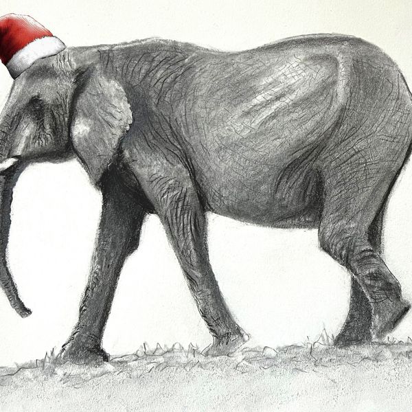 Christmas Elephant