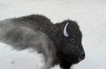 "Black Bison" - original SOLD, prints available in art store
