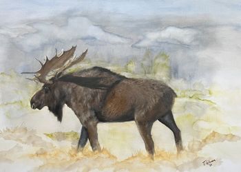 "Rambler" - original SOLD, prints available in art store

