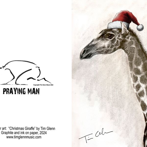 Set of all 8 Animal Christmas Cards!
