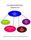  Roy Adaptation Model Holistic Assessment Tool