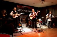 Accidental Paradise Band