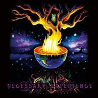 The Seed by Necessary Experience