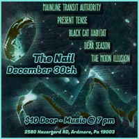 Black Cat Habitat's Eve