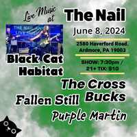 Black Cat Habitat at The Nail!