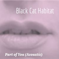 Part of You (Acoustic) by Black Cat Habitat