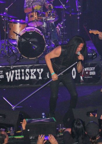Donald & The Whisky a Go Go.
