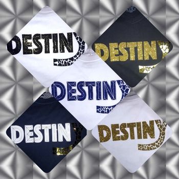 Motivational Tees WE ALL HAVE ONE TO FULFILL- A DENSTINY
