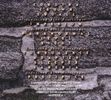 MDLXV - Limited Edition - CD