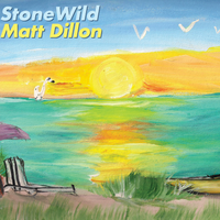 StoneWild by Matt Dillon Singer/Songwriter