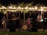 The Matt Dillon Band