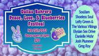 Leify Green And The Various Vikings at Dallas Bohrer's 9th Annual 'Peace, Love & Blueberries' Festival