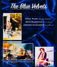 Cary Park with the "Blue Velvet's" for Valentines day 