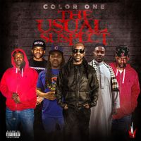 THE USUAL SUSPECT by Color One 