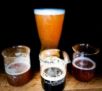 Happy Hour at the Breslau Brewery