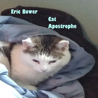 Cat Apostrophe by Eric Bower