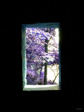 Available Light
