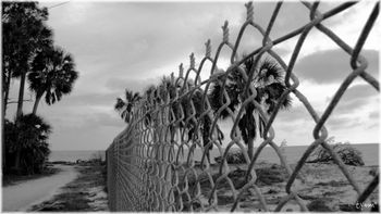 The Security of Illusion
