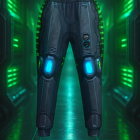 Gamer RPG IRL Techwear Pants +1 AGI