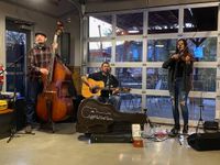 Cliff Miller Trio at Springcreek Brewing Company