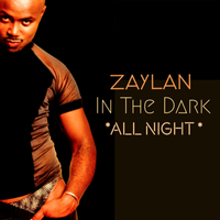 In The Dark ( All Night) by ZAYLAN, GENE KING, ARCADIA -GSINE, JOE MANGIONE