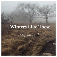 Winters Like These EP Release Show Live Stream