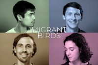 Migrant Birds at the Monte Vista Hotel