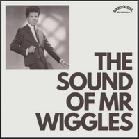 The Sound of Mr. Wiggles by Mr. Wiggles
