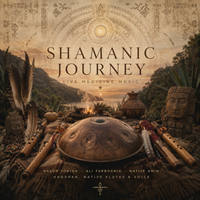 Tatewari | Shamanic Medicine Music | Handpan, Native Flutes & Voice (Live at Bonjuk Bay) by Mason Töryen