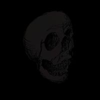 Ghost Father (Unreleased) by Ghost Father