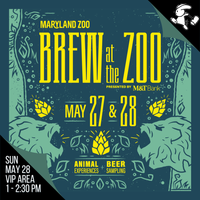 Jillian @ Brew at the Zoo presented by M&T Bank
