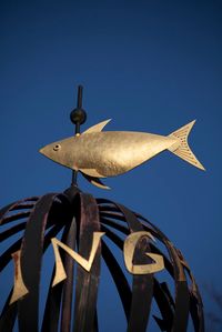 The Fishy One