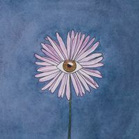 Vernal Equinox by Everwalden