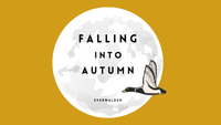 Falling into Autumn