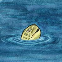 I Am Nature, I Am Turtle by Everwalden