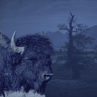 Eyes Closed, Counting My Breath by Everwalden