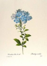 Spring Songs 'N' Stories